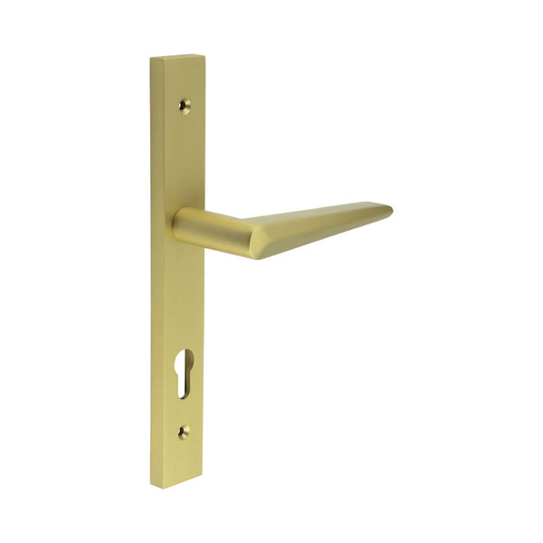 CRES-107 Multi Point Backplate Door Handle by Cres By Frelan