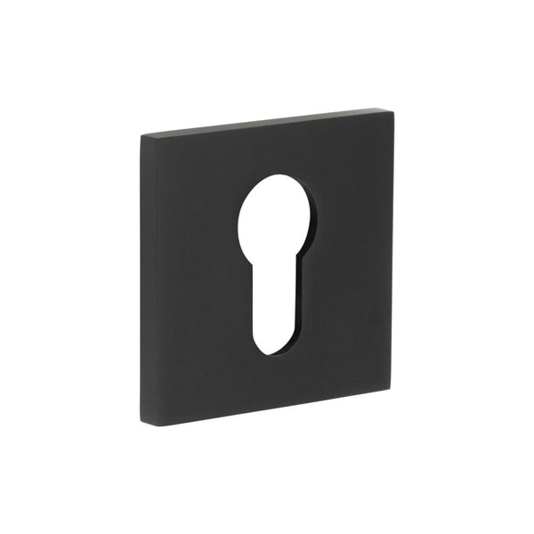 CRES-T10 Euro Keyway Square Rose Escutcheon