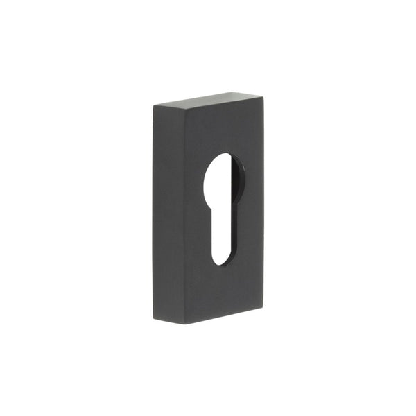 CRES Rectangular Euro Escutcheon