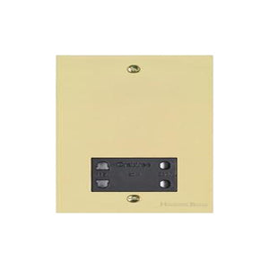 Richmond Elite Range Satin Brass Switches & Sockets, LP44 - Shaver Socket Output Voltage 110/240V by Heritage Brass By M-Marcus