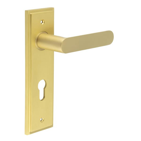 Burlington, Burlington Kensington Door Handle Din Euro Backplate, Door Handles, Burlington Kensington Door Handle Din Euro Backplate, Lever on Euro Lock Backplate