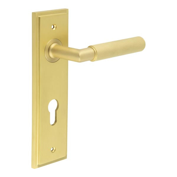 Burlington, Burlington Piccadilly Door Handle Din Euro Backplate, Door Handles, Burlington Piccadilly Door Handle Din Euro Backplate, Lever on Euro Lock Backplate