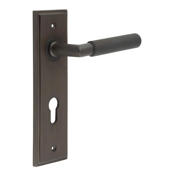 Burlington, Burlington Piccadilly Door Handle Din Euro Backplate, Door Handles, Burlington Piccadilly Door Handle Din Euro Backplate, Lever on Euro Lock Backplate