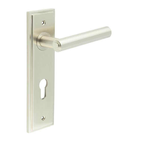 Burlington, Burlington Richmond Door Handle Din Euro Backplate, Door Handles, Burlington Richmond Door Handle Din Euro Backplate, Lever on Euro Lock Backplate