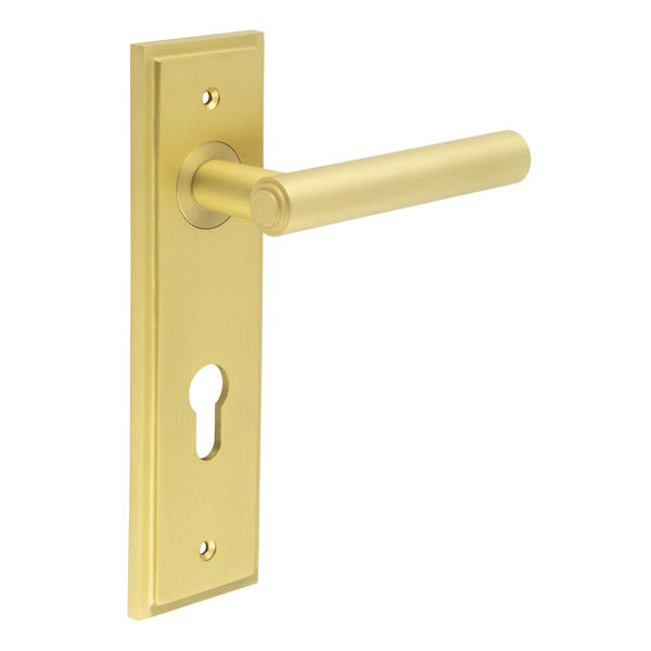 Burlington, Burlington Richmond Door Handle Din Euro Backplate, Door Handles, Burlington Richmond Door Handle Din Euro Backplate, Lever on Euro Lock Backplate