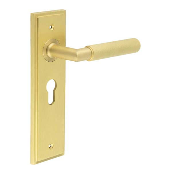 Burlington, Burlington Piccadilly Door Handle Euro Backplate, Door Handles, Burlington Piccadilly Door Handle Euro Backplate, Lever on Euro Lock Backplate