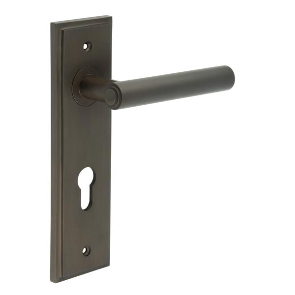 Burlington, Burlington Richmond Door Handle Din Euro Backplate, Door Handles, Burlington Richmond Door Handle Din Euro Backplate, Lever on Euro Lock Backplate