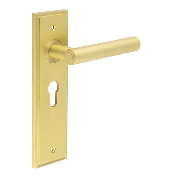 Burlington, Burlington Richmond Door Handle Euro Backplate, Door Handles, Burlington Richmond Door Handle Euro Backplate, Lever on Euro Lock Backplate