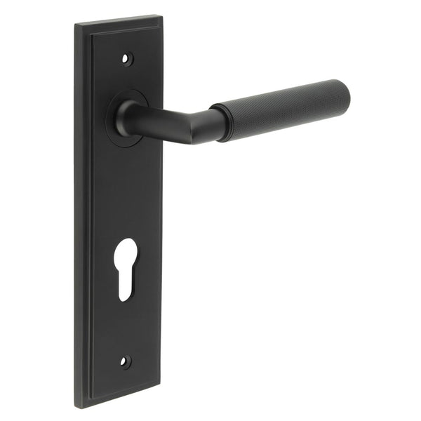 Burlington, Burlington Piccadilly Door Handle Din Euro Backplate, Door Handles, Burlington Piccadilly Door Handle Din Euro Backplate, Lever on Euro Lock Backplate