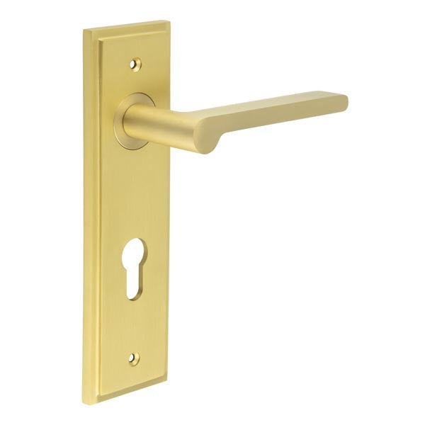 Burlington, Burlington Fitzrovia Door Handle Din Euro Backplate, Door Handles, Burlington Fitzrovia Door Handle Din Euro Backplate, Lever on Euro Lock Backplate