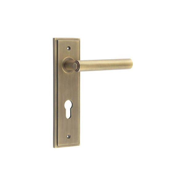 Burlington, Burlington Richmond Door Handle Din Euro Backplate, Door Handles, Burlington Richmond Door Handle Din Euro Backplate, Lever on Euro Lock Backplate