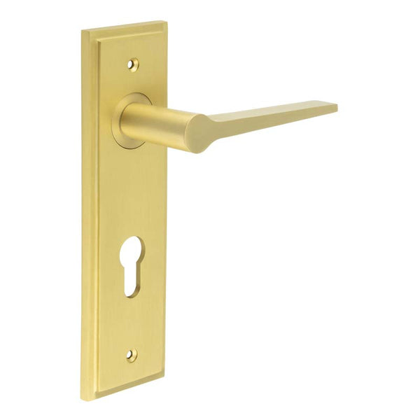 Burlington, Burlington Knightbridge Door Handle Din Euro Backplate, Door Handles, Burlington Knightbridge Door Handle Din Euro Backplate, Lever on Euro Lock Backplate