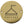 Stainless Steel Shower Symbol 75mm Polished Brass