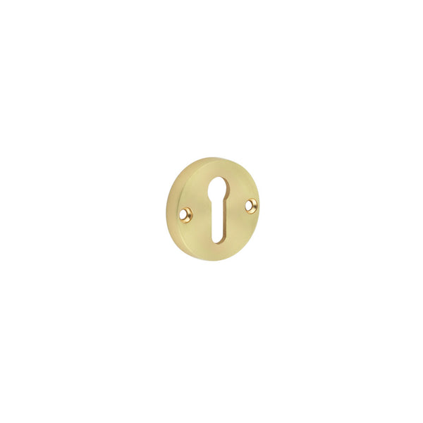 Contemporary Satin Brass Escutcheons for Mortice Knobs