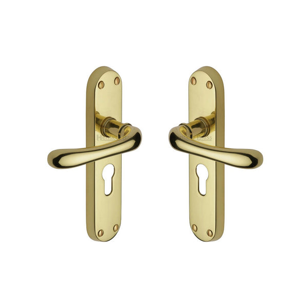 Luna Door Handle on Plate by M Marcus - Heritage Brass