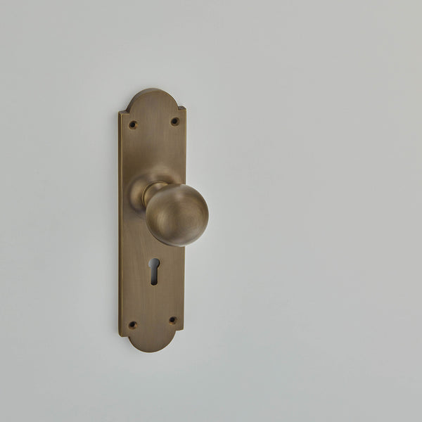 Ball Knob On 8" Shaped Backplate-6505